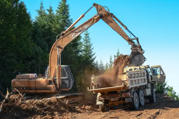 빙고카페 카지노 지원